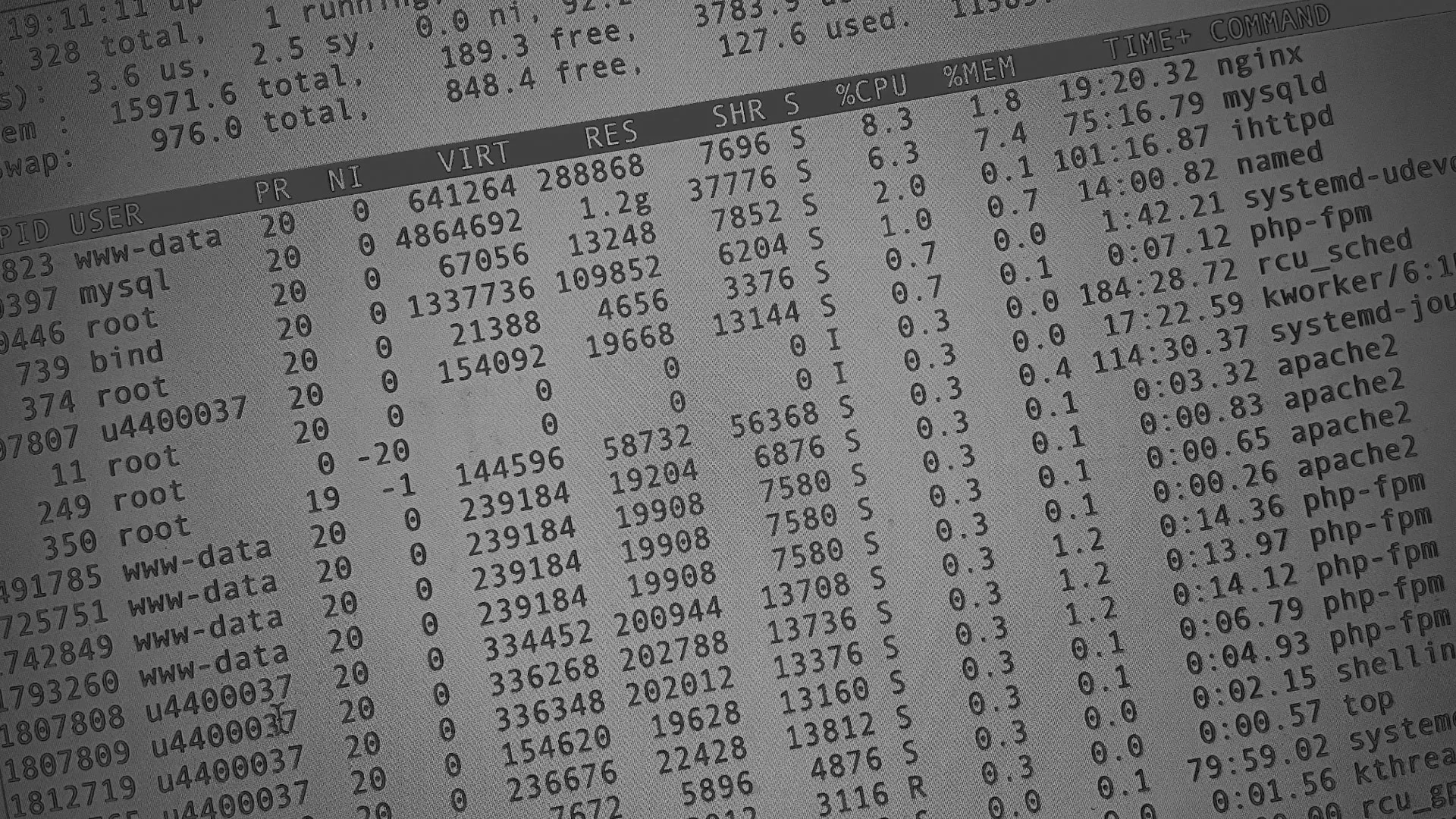 Настройка сервера в Светлограде