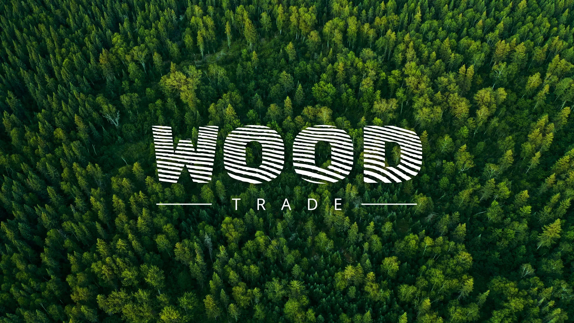 Разработка интернет-магазина компании «Wood Trade» в Светлограде