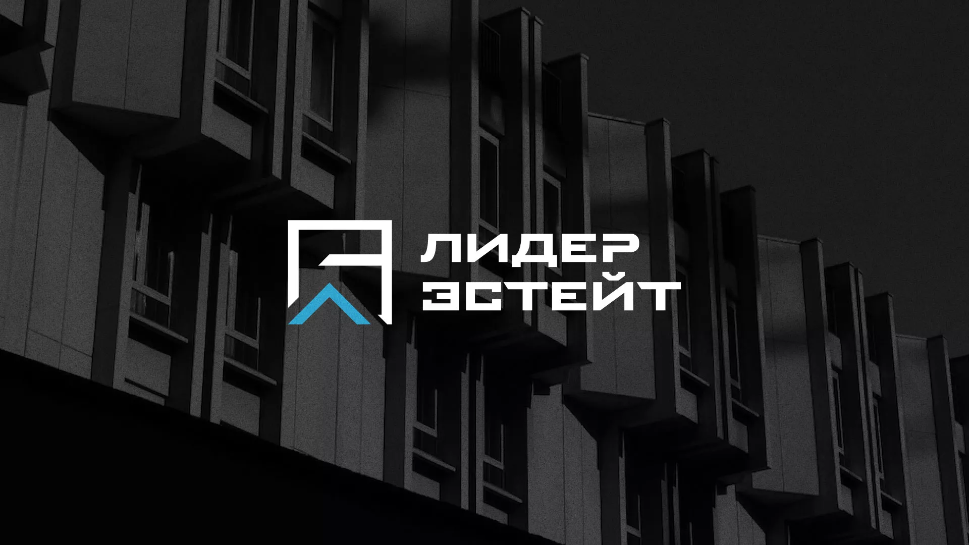 Разработка логотипа агентства недвижимости «Лидер Эстейт» в Светлограде